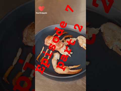 Episode 7, part 2: Cooking my way back to love❣️#shorts#shortstories #movie#minimovie#shortfeed