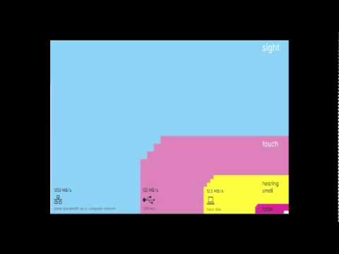 The beauty of data visualization | David McCandless