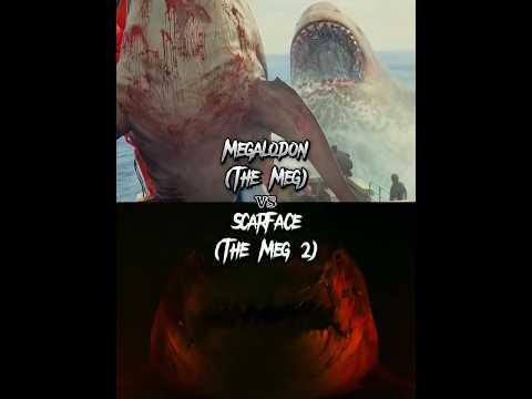 The Meg - Megalodon (The Meg) vs Scarface (The Meg 2)