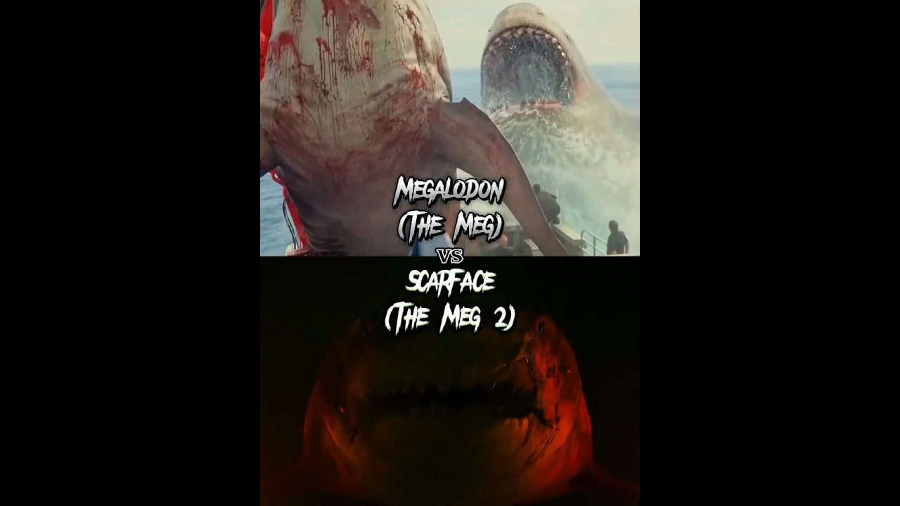 The Megalodon Showdown: Scarface vs. Female Megalodon