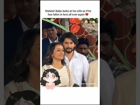 The Queen of Mahesh Babu's Heart❤️#shorts #song #bollywood #maheshbabu #tollywood