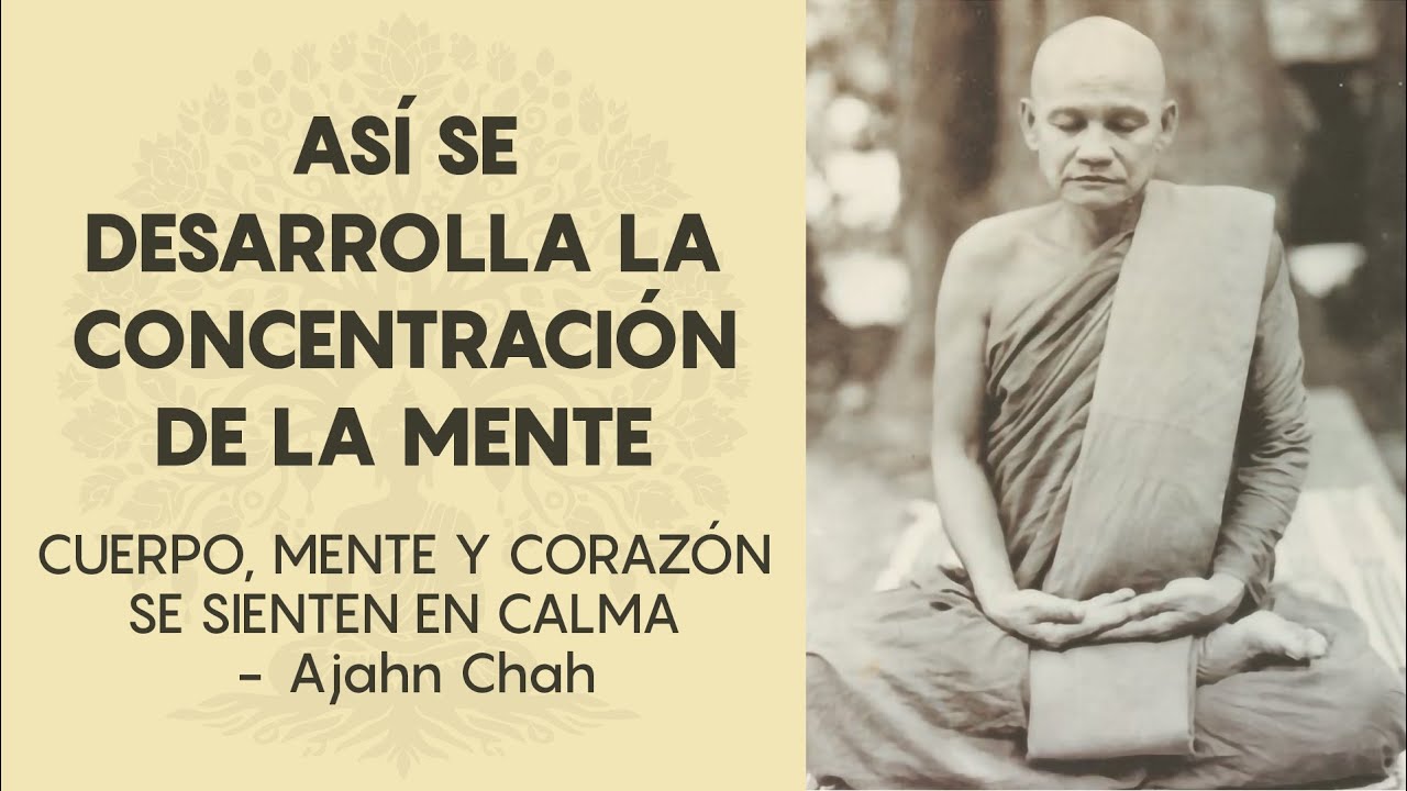 Desarrollo de la Concentración Mental (Samadhi) - Ajahn Chah 🧘♂️