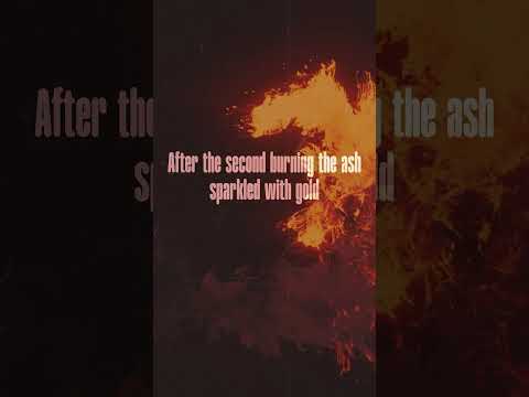 The Prince - Lyric Video #indiefolk #historicalfantasy #unsignedartist