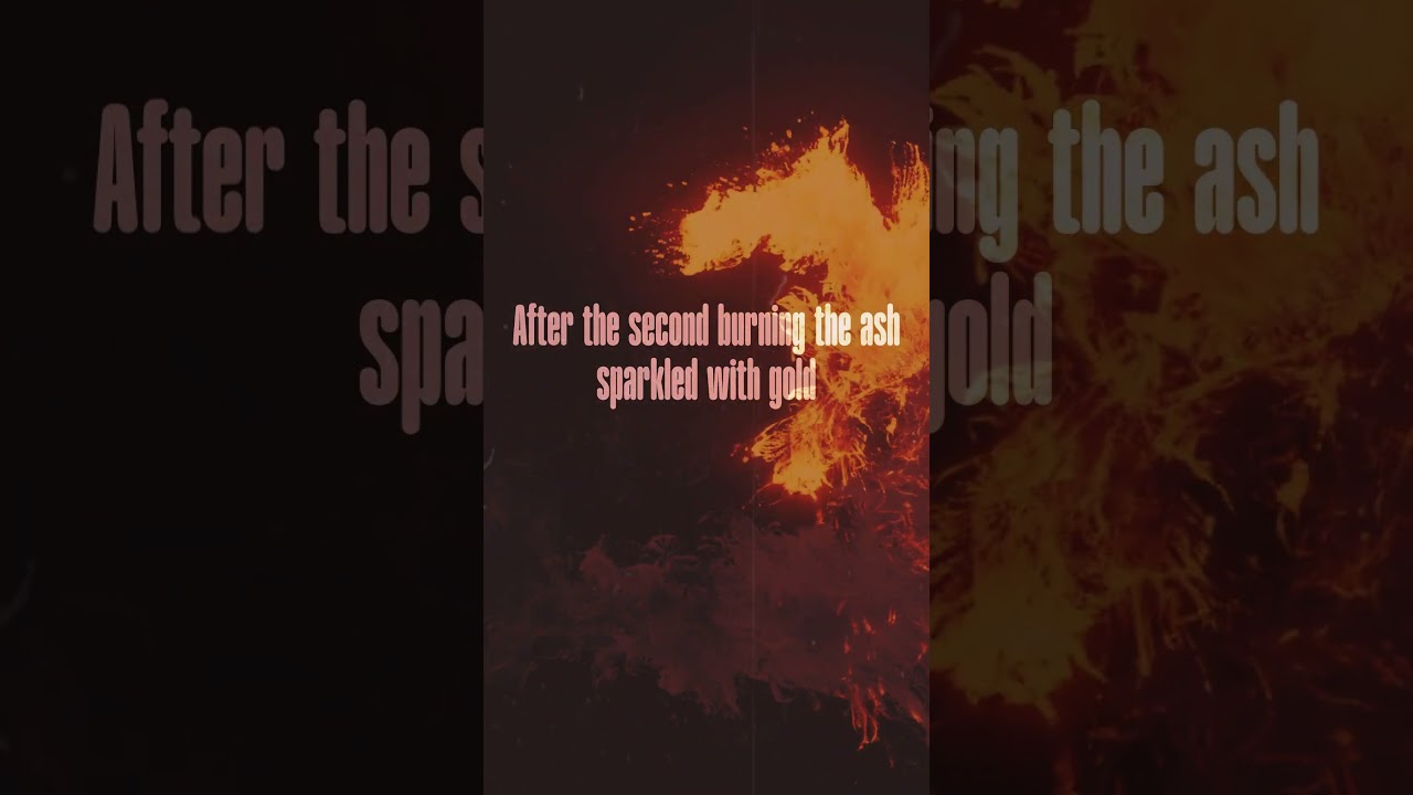 The Prince - Captivating Indie Folk Lyric Video 🎶