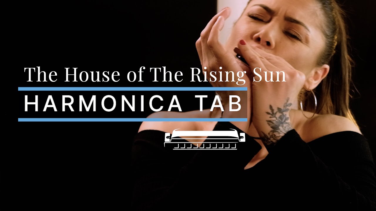 Indiara Sfair - The House of the Rising Sun Harmonica TABS 🎶