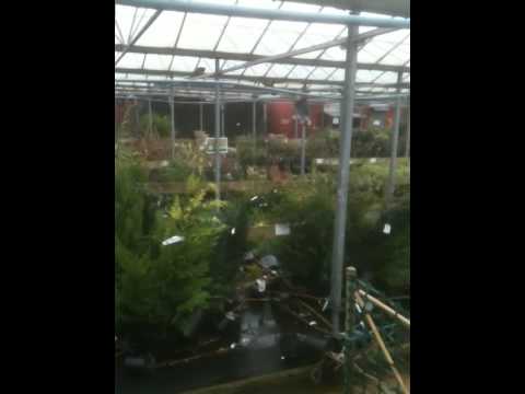 Garden Centre 17000 gallon Tsunami Part 1