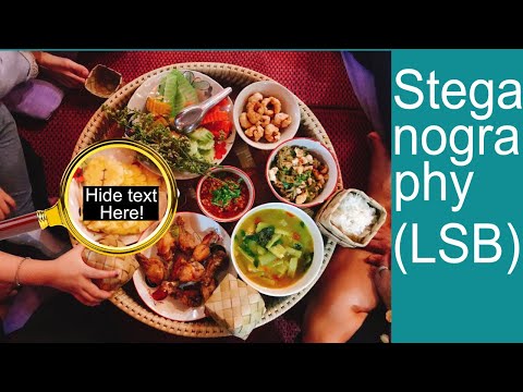 LSB Steganography: How to Hide Text in Images | Hiding Data With Programming