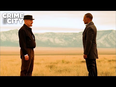 Gus: "Explain yourself" | Breaking Bad (Bryan Cranston, Giancarlo Esposito)
