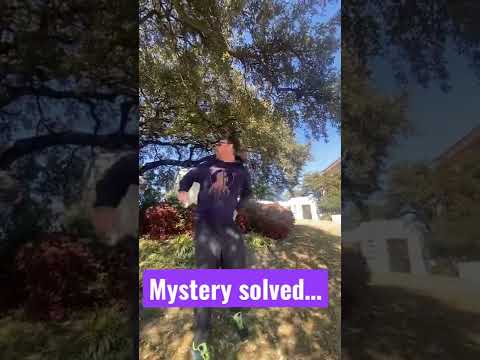 We solved the JFK assassination #jfk #flashbackfriday