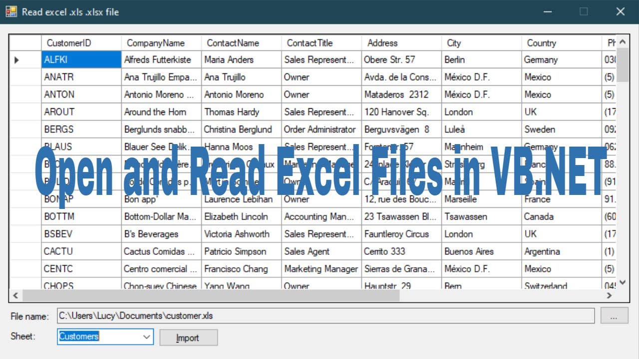 VB.NET Tutorial: Open & Read Excel Files 📊