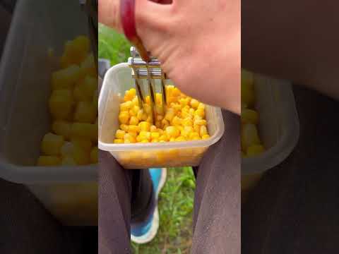 Кукуруза - лучшая добавка в ваш корм #рыбалка #фидер #лещ