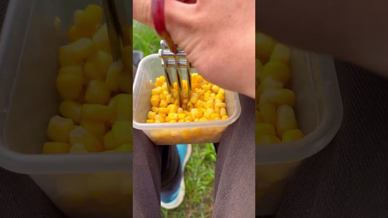 Почему кукуруза — идеальная добавка для вашего корма при ловле леща 🎣