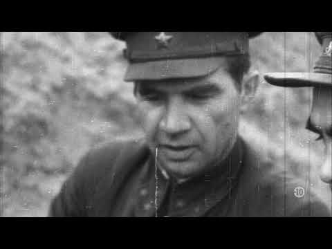 Stalingrad Épisode 2 : La Ruse des Rats 🐀