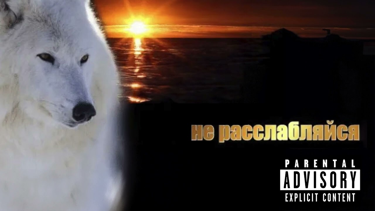 Скриптонит — Не расслабляйся (2024) 🔥 Новое аудио и тур билеты