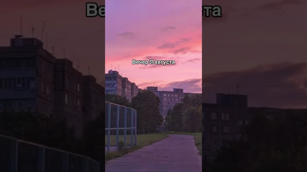 Когда жизнь кажется особенной: Часть 86 🥹