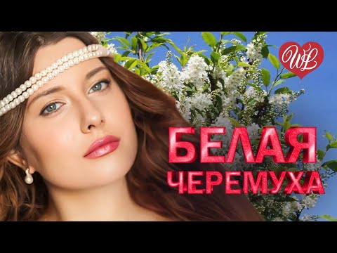 БЕЛАЯ ЧЕРЕМУХА ♥ ХИТЫ ШАНСОНА ДЛЯ ТАНЦПОЛА WLV ♥ ПЕСНЯ ЗАЖИГАЛКА ♥ RUSSISCHE MUSIK RUSSIAN MUSIC HIT
