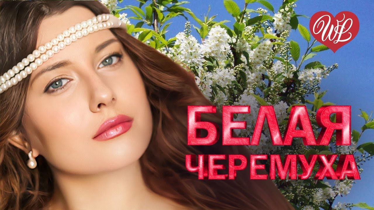 🔥 Лучшие хиты шансона и танцпол для настоящих ценителей! Белая черемуха, Калина красная и больше