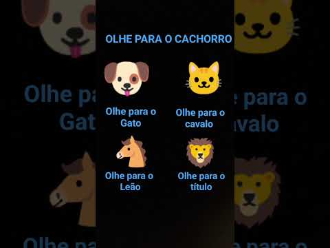 amizade animal 🦁🐴🐱🐶🐯🐴🐍🐊🐢🐇🐲🐖🐕‍🦺🦮🐕🐕🐩🐈‍⬛