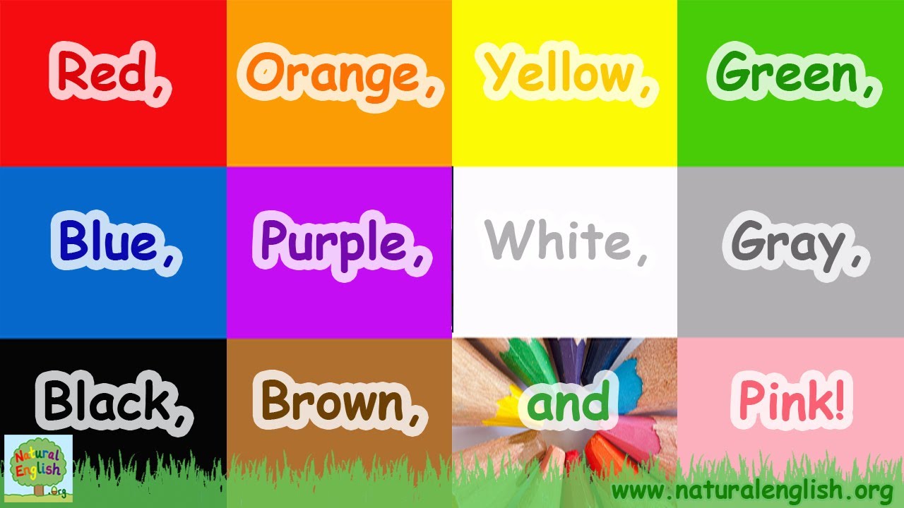The Colors Song – Learn Colors and Vocabulary in English