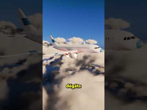 Cette femme a jeté des pièces dans le moteur de l’avion 😨