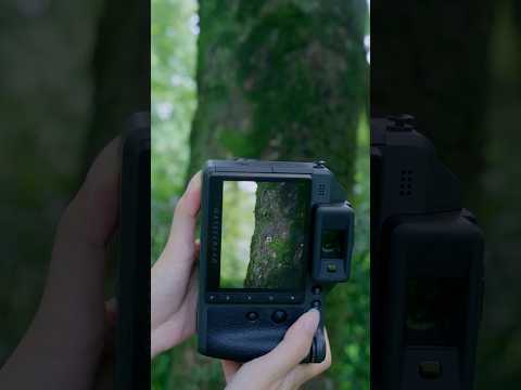 100MP Macro World Through Hasselblad X2D II 100C