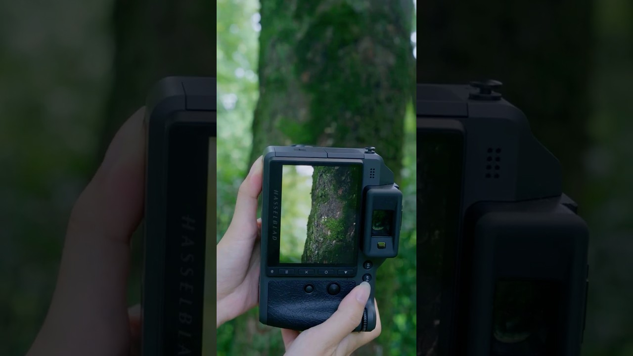 100MP Macro Capture with Hasselblad X2D II 100C 🐞