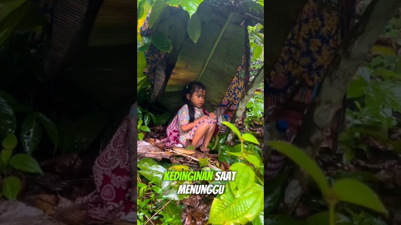 Momen Mengharukan Saat Bertemu Gadis Kecil di Tengah Hutan 🌿