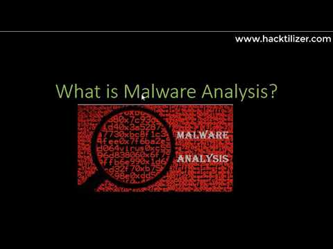 Introduction to Malware Analysis