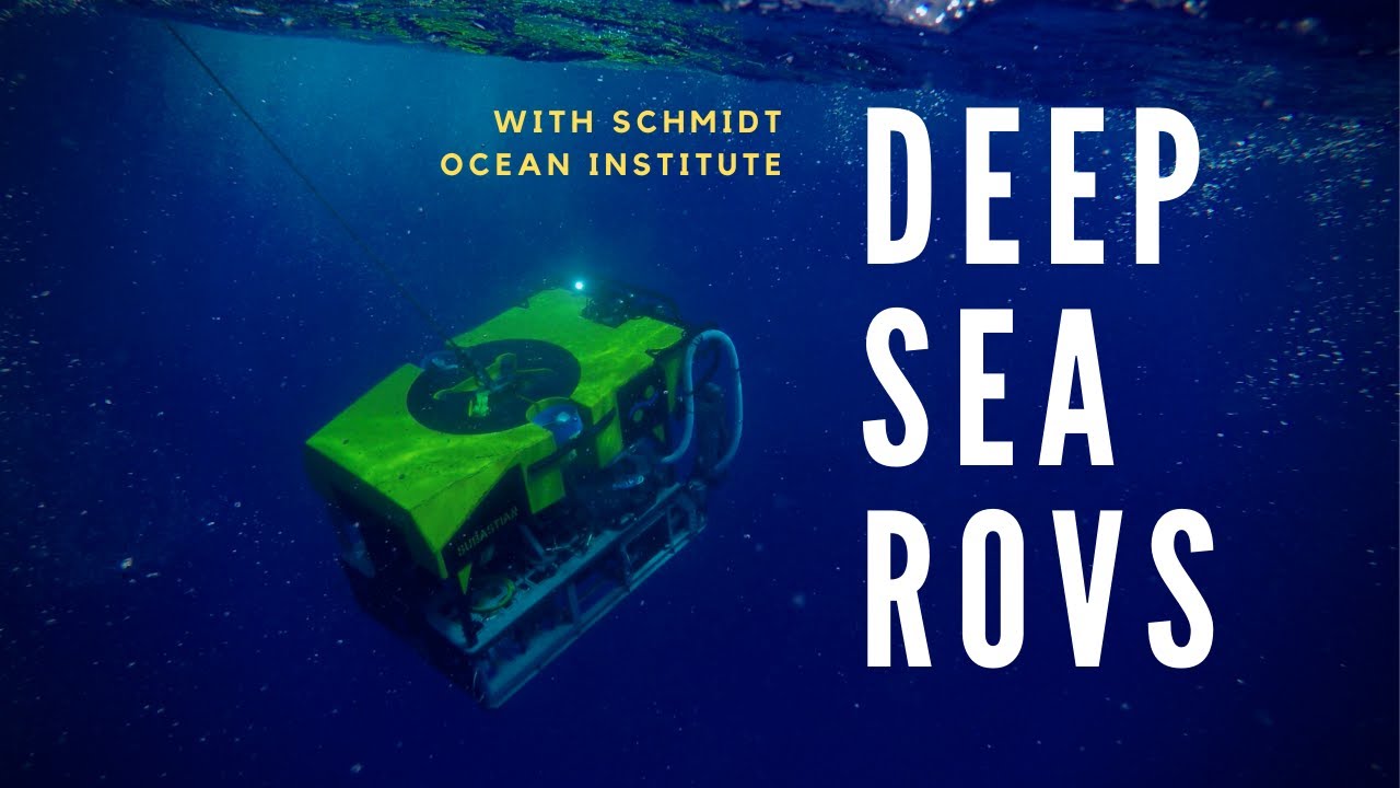 Deep-Sea Robots with Schmidt Ocean Institute 🌊