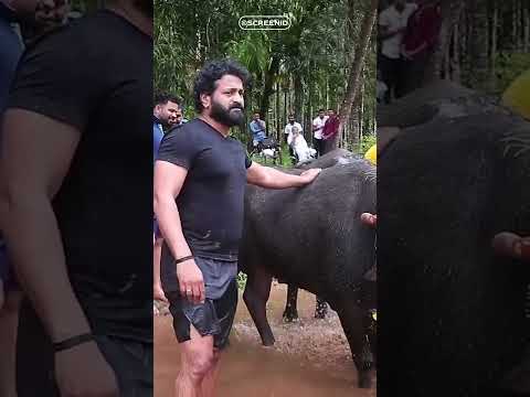 Unknown fact about Kantara movie | Rishab Shetty | Screenid