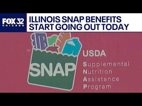 Here's when Illinois SNAP recipients will receive their full Nov. payments | Quick Update