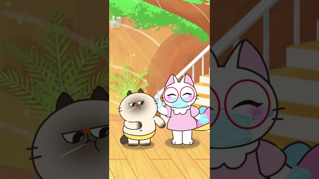 Tiga Kucing Imut Vaksin, Lucu Banget! 🐱