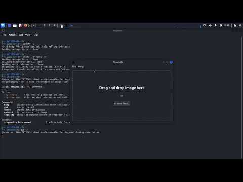 Store Hidden Information In Kali Linux Using Stegosuite| Steganography| Cybersecurity