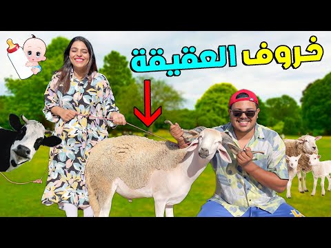 اخيرا..شرينا الحولي ديال سبوع البيبي (يانيس )🐏اثمنة خروف العيد غالية بزااف🔥😢