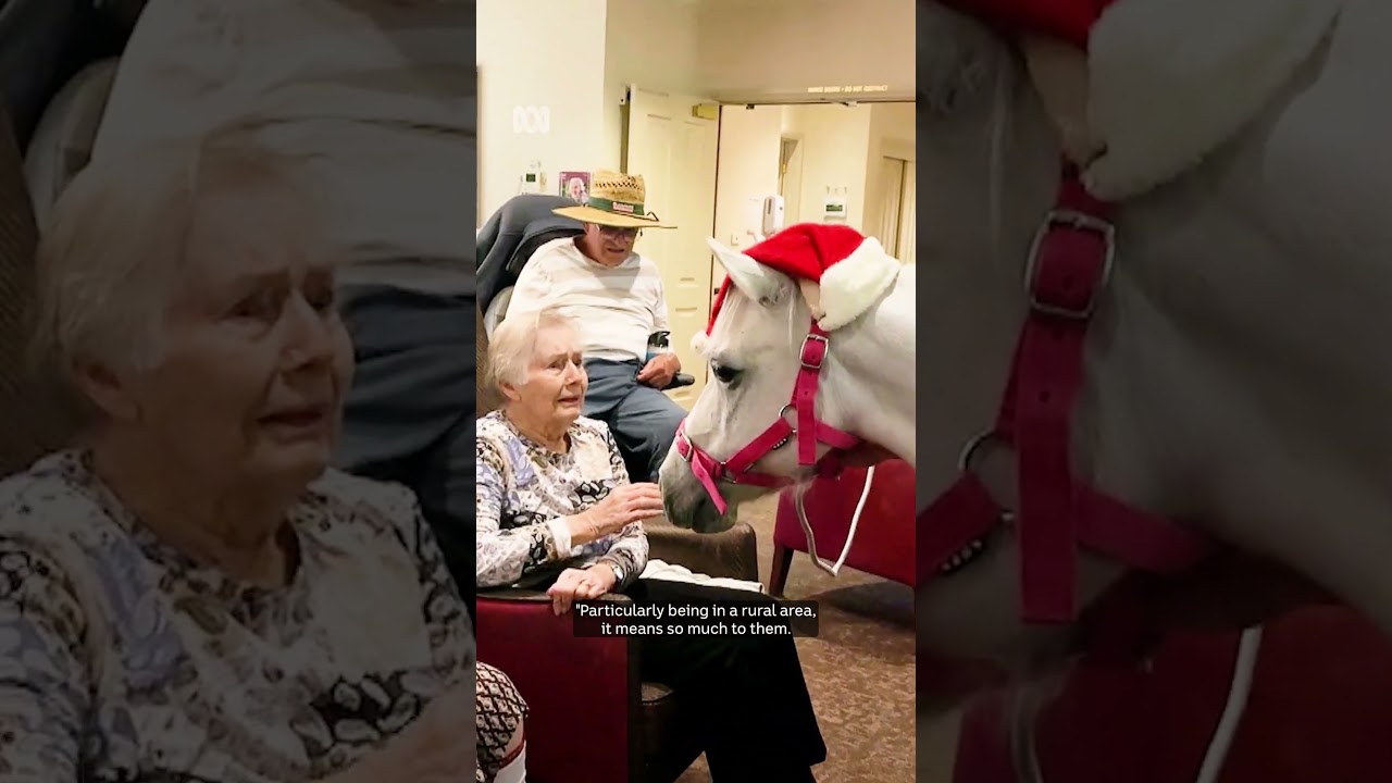 Polly the Pony Spreads Christmas Cheer π