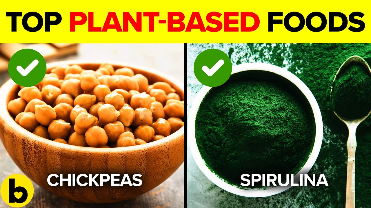 Top 12 Plant-Based Protein Sources 🌱
