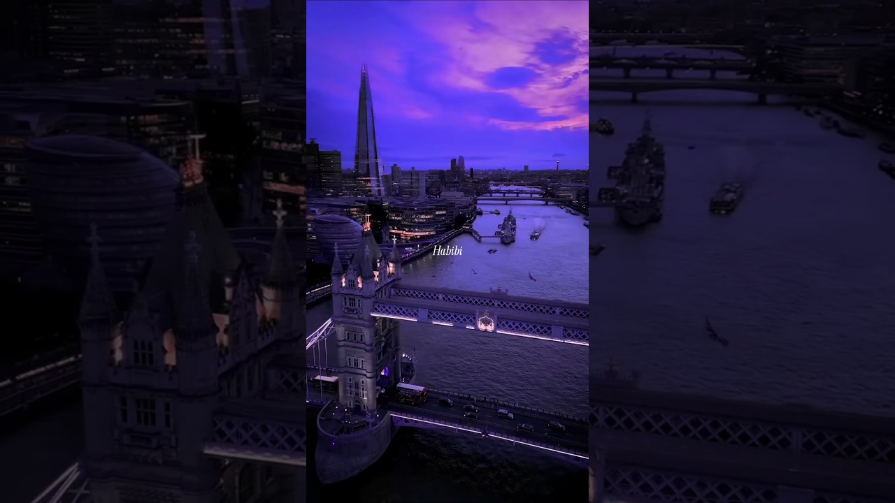 Habibi by Ricky Rich 🎶 | Aesthetic Lyrics & Speed Options (Slowed & Speed Up) | Status & English Song