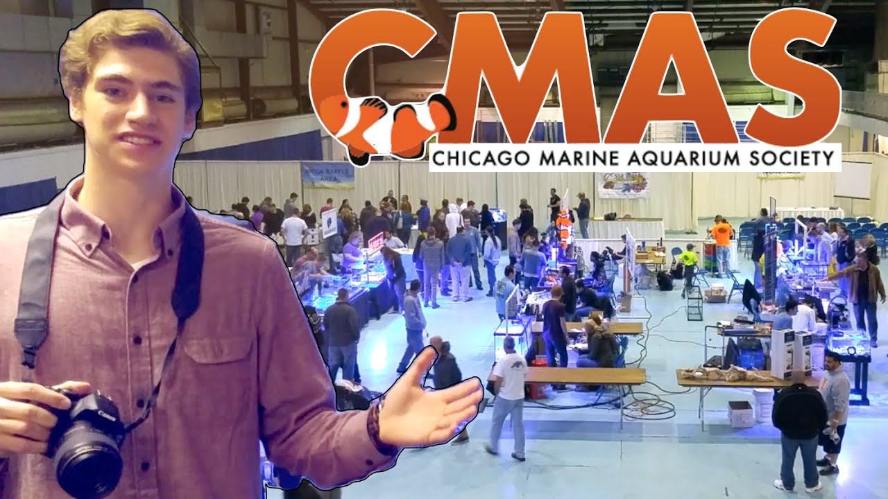 CMAS Frag Swap 2016 Highlights ๐