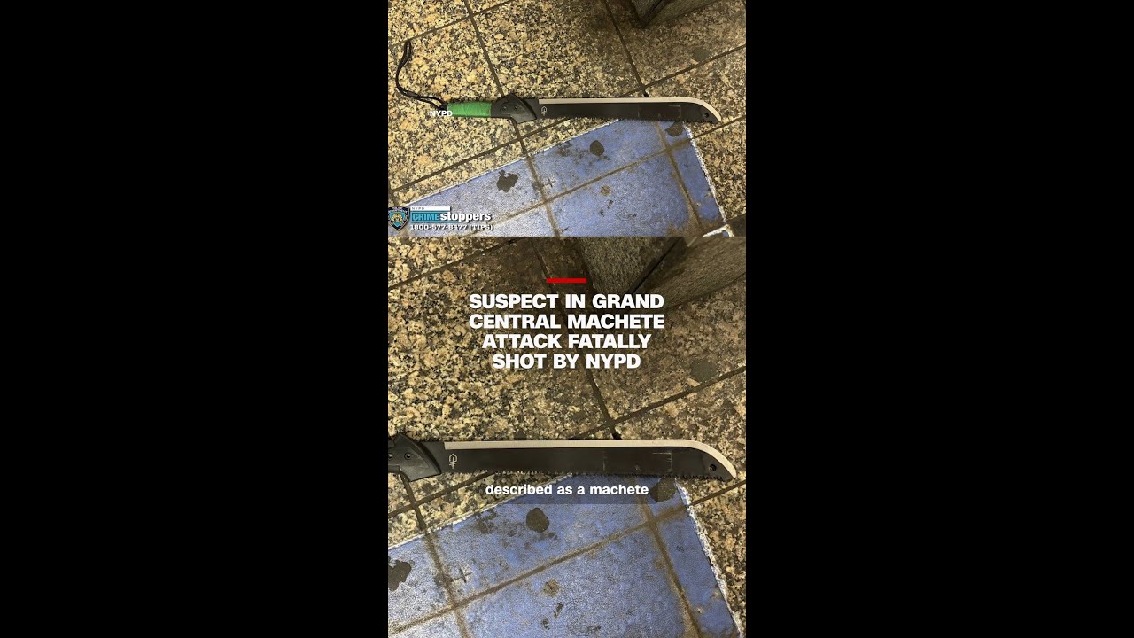 Suspect in Grand Central machete attack fatally shot by NYPD