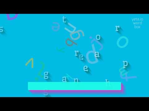 How to Pronounce 'Steganographer' in 2023