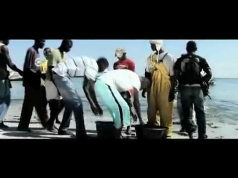 Adiouza - Borom Gaal