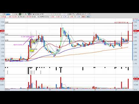 ํ์ด์คํธ 3์ฐจ 071090 ํจํด๋ถ์ ๋ฐ ํฌ์์ ๋ต