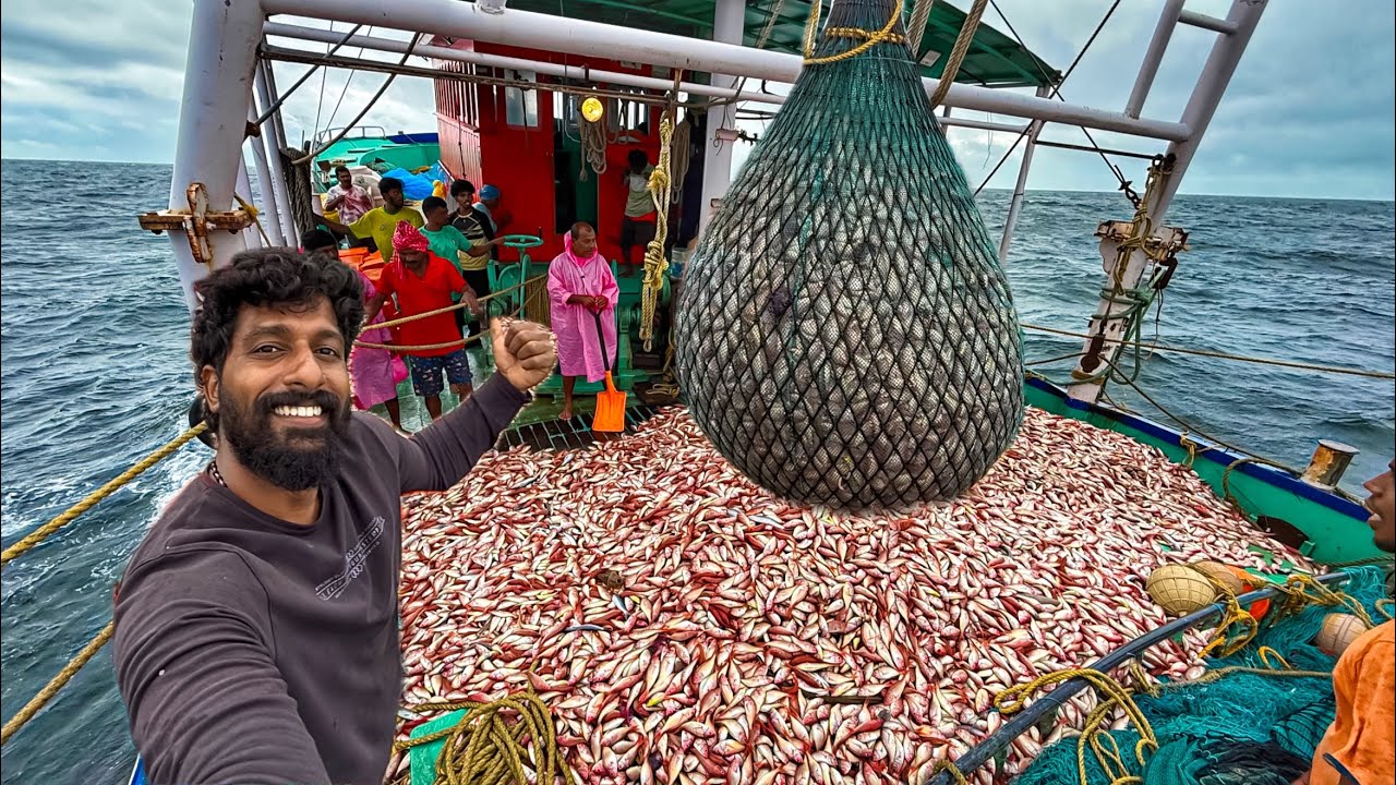 Epic Fishing Day: Tons of Kili Fish Caught! 🎣