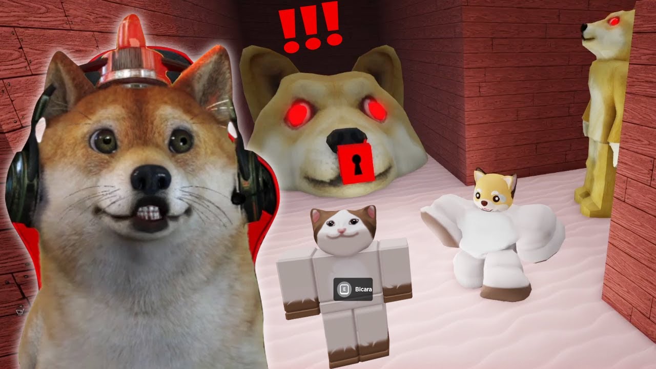 Doge Head Escape: Kejaran Doggy Ganas & Penculik Kucing πΆ