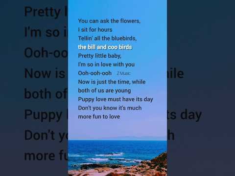 Pretty little baby (Lyrics) Connie Francis #lyrics