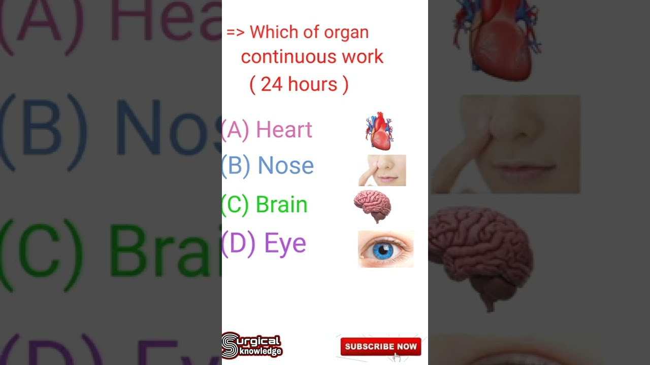 Medical MCQs with Answers | Essential Practice for Medical Students 🩺