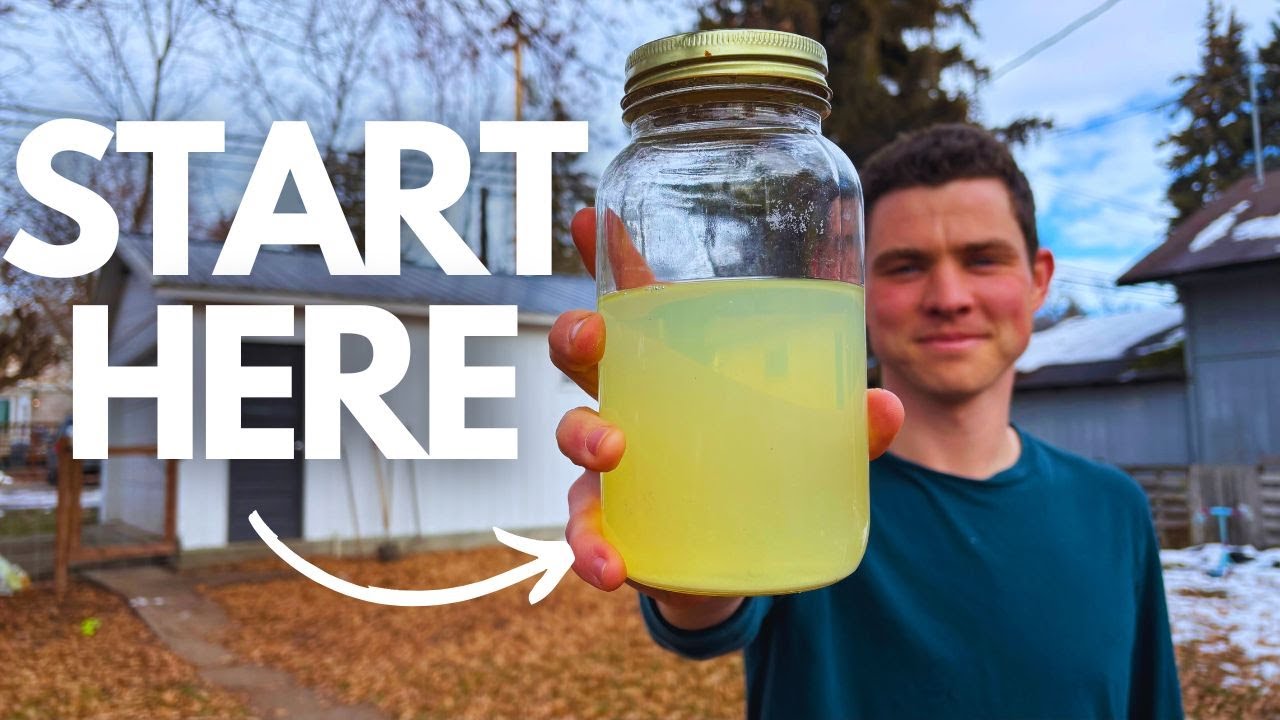 Transform Your Garden with Korean Natural Farming 🌱