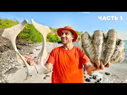 ОСТРОВ ЧЕРЕПА: Новое Выживание на Необитаемом Острове (Часть 1)