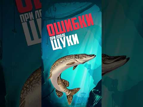 Ошибки при ловле щуки. Советы по поимке щуки на спиннинг. #рыбалка #щука #спининг