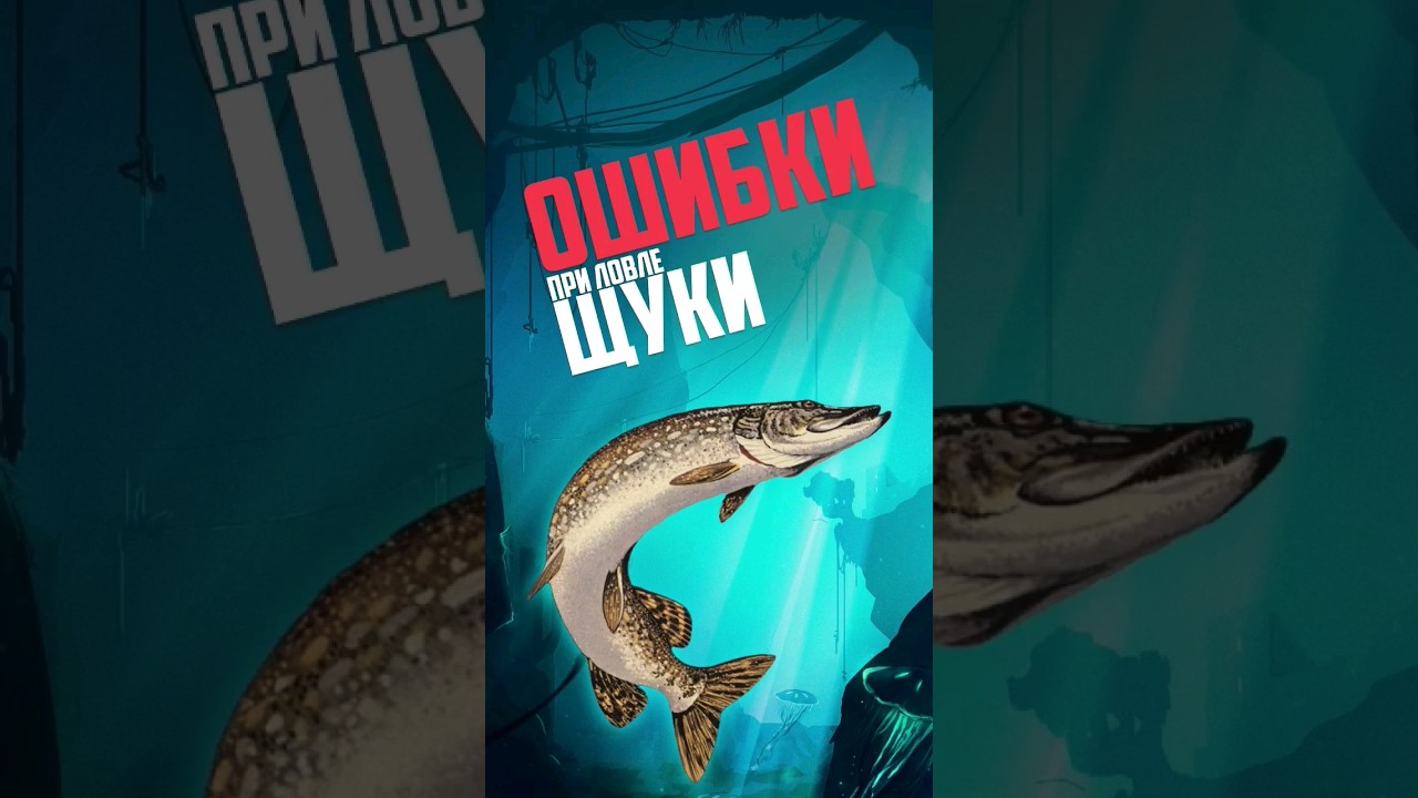 Избегайте ошибок: Лучшие советы по ловле щуки на спиннинг 🎣